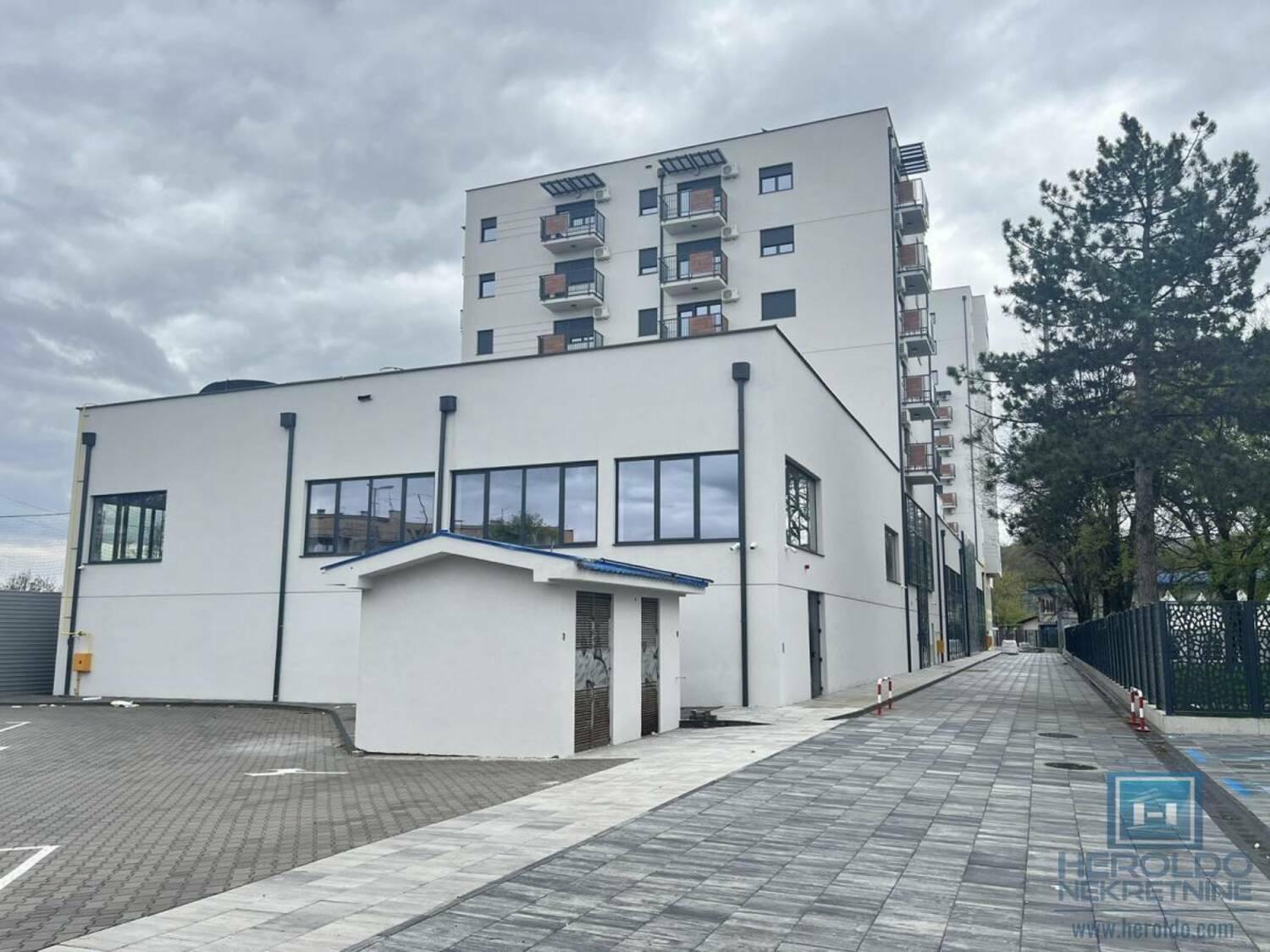 Crnjanski Paun L