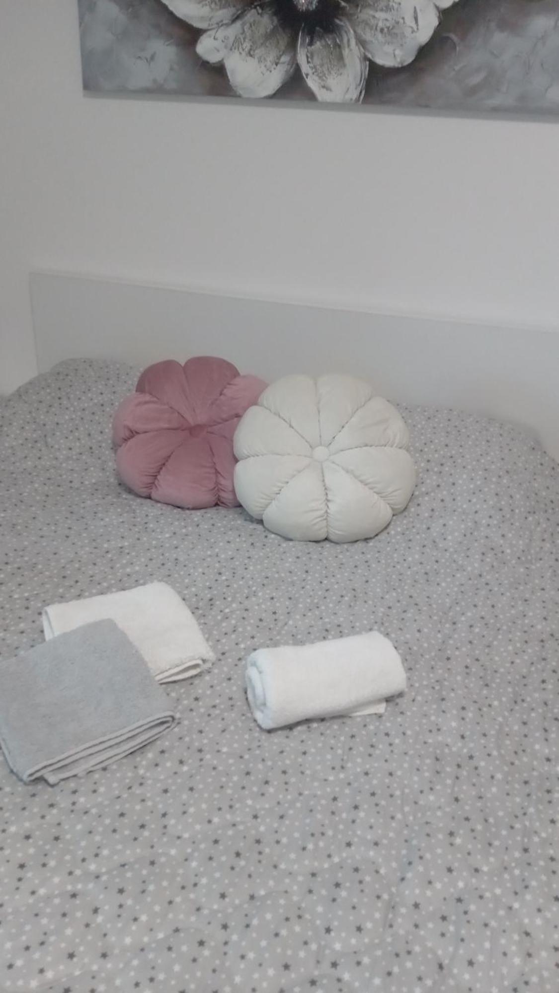 Apartment Crnjanski Paun L