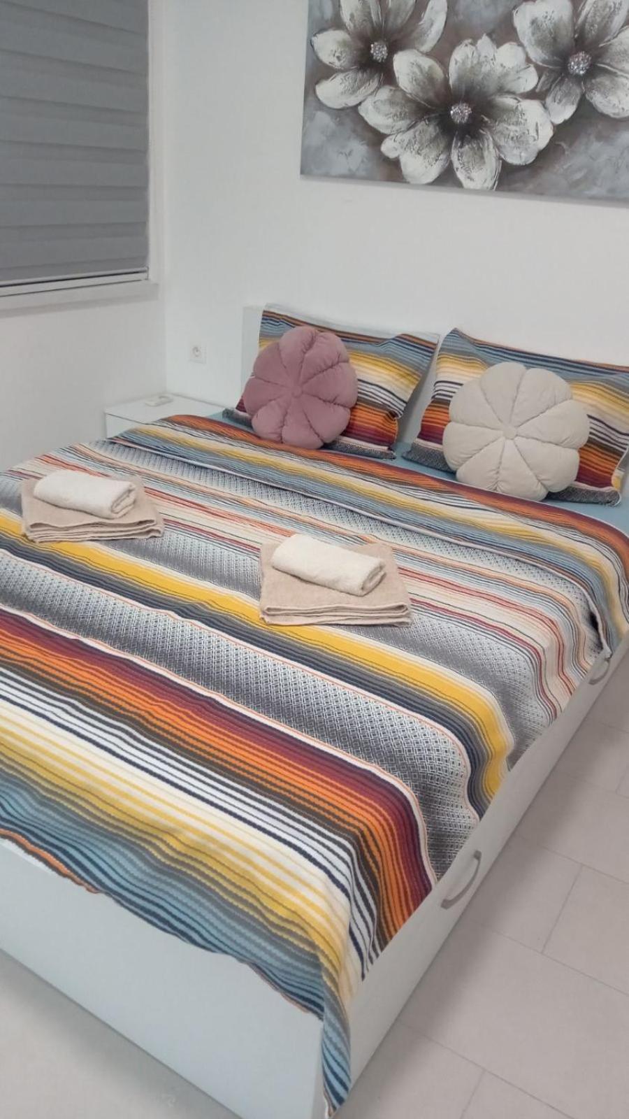 Apartment Crnjanski Paun L