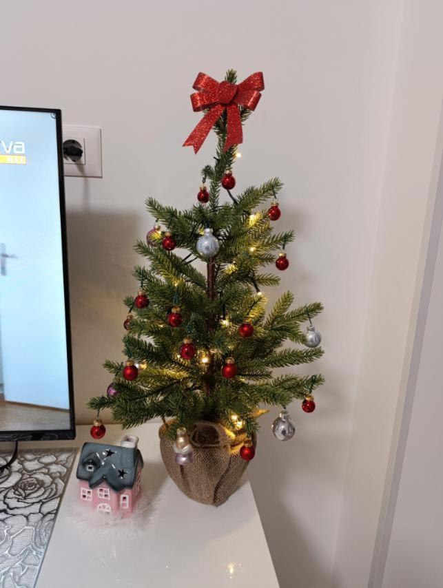 Apartment Crnjanski Paun L
